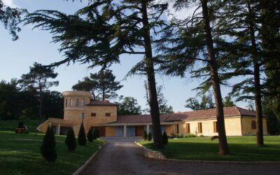 Villa Pini